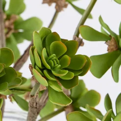 Artificial Echeveria Succulent Stem