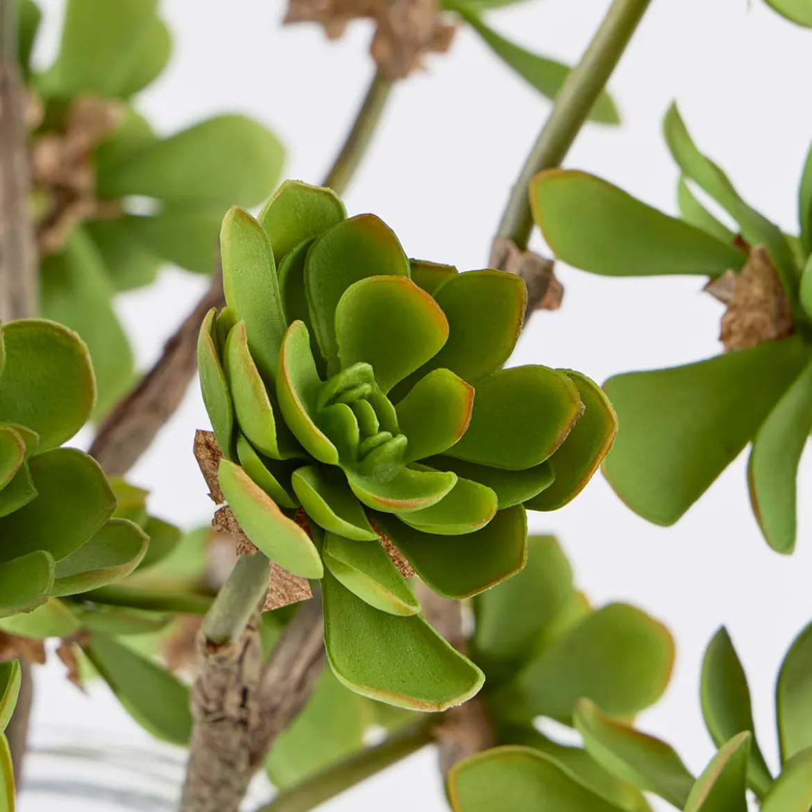 Artificial Echeveria Succulent Stem