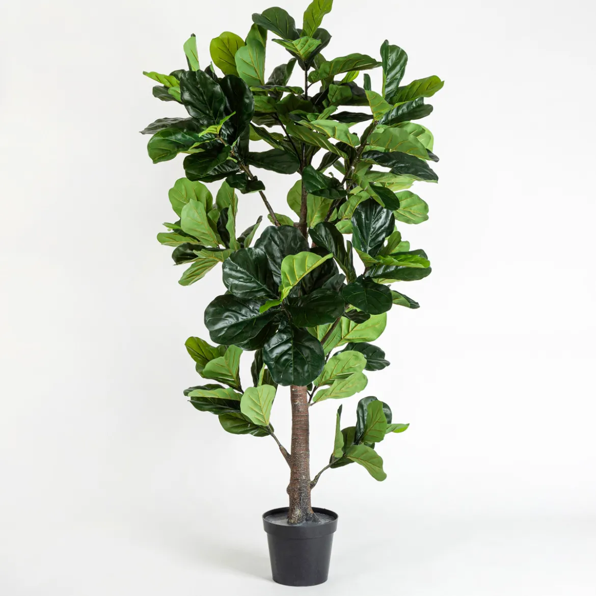 Artificial Fiddle Leaf Fig
