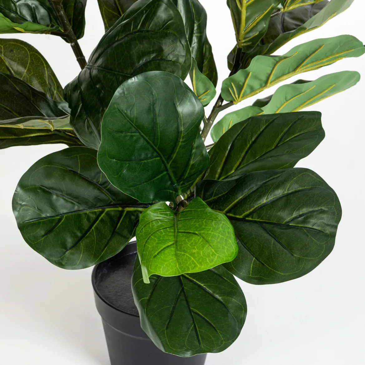 Artificial Fiddle Leaf Fig