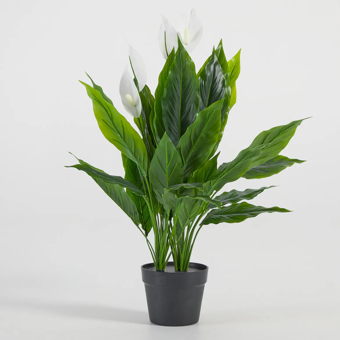 Artificial Mini Peace Lily Plant