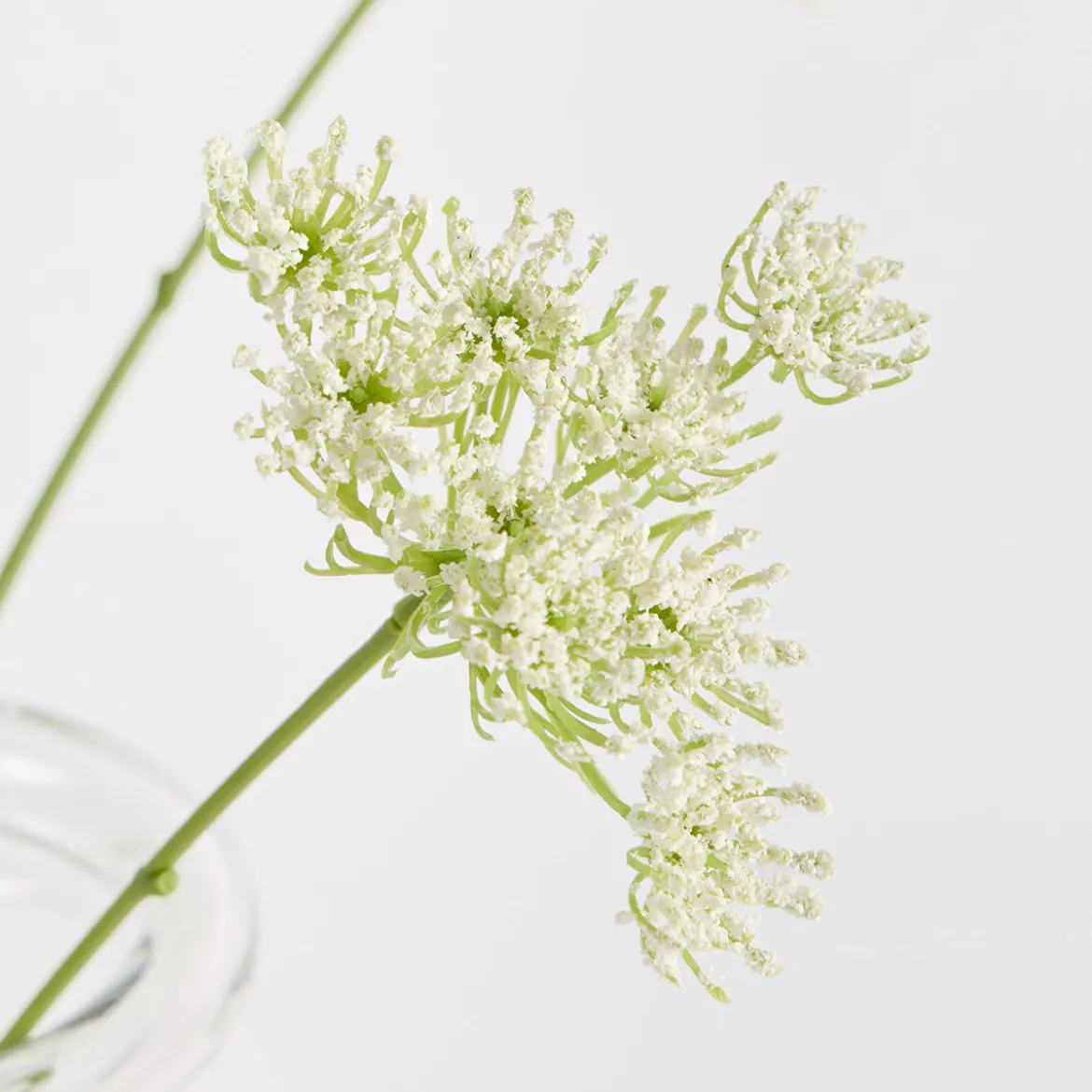 Artificial Queen Anne's Lace Bouquet