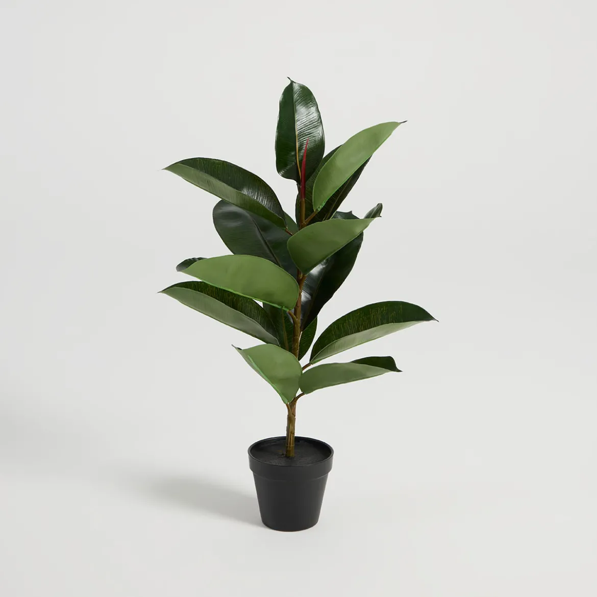 Artificial Rubber Fig Tree