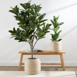 Artificial Rubber Fig Tree
