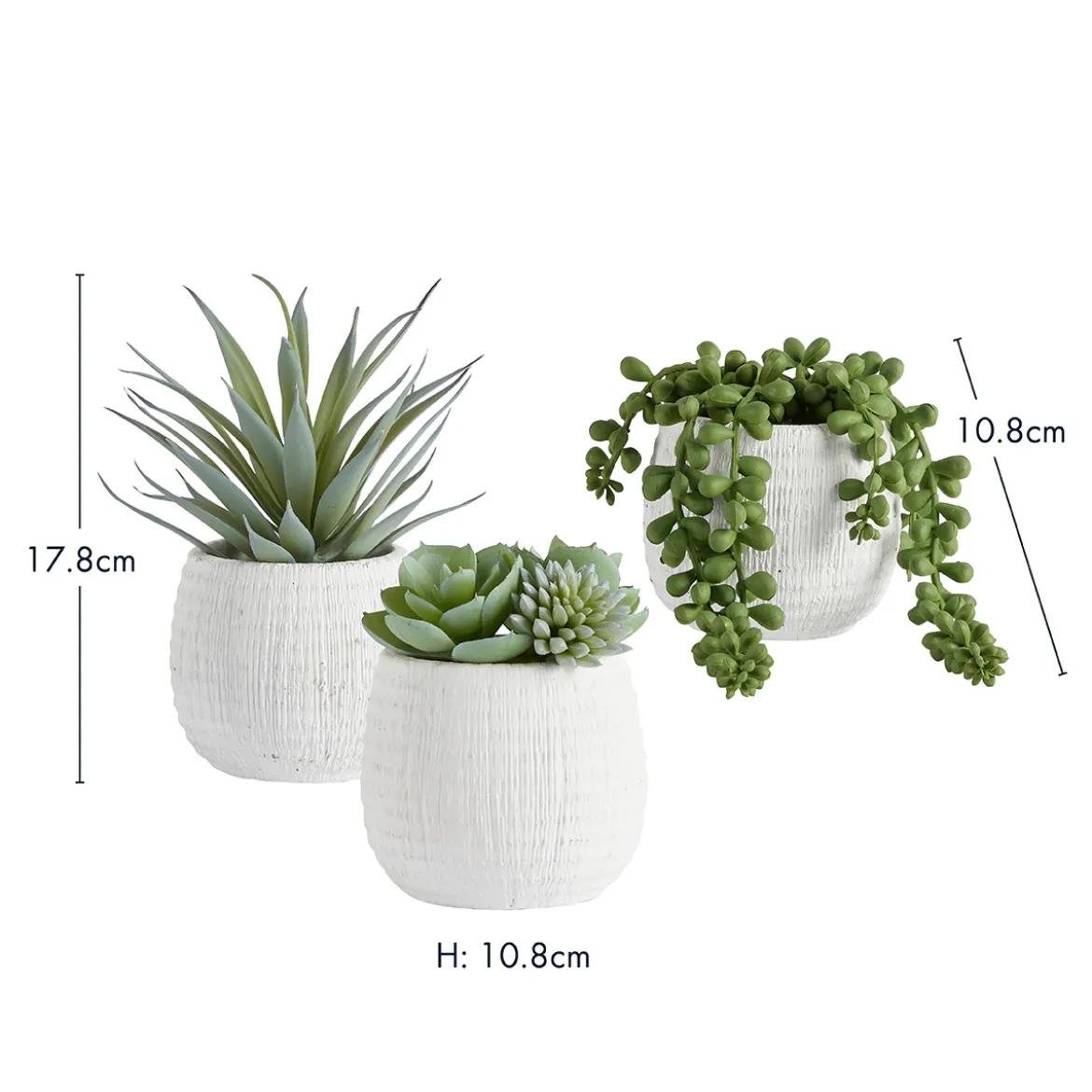Avalon Garden Artificial Potted Succulent