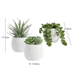 Avalon Jelly Bean Artificial Potted Succulent