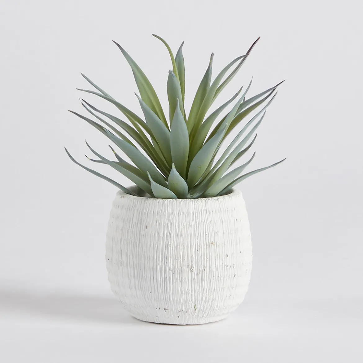 Avalon Yucca Artificial Potted Succulent