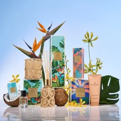 Balmy Breeze 250ml Fragrance Diffuser