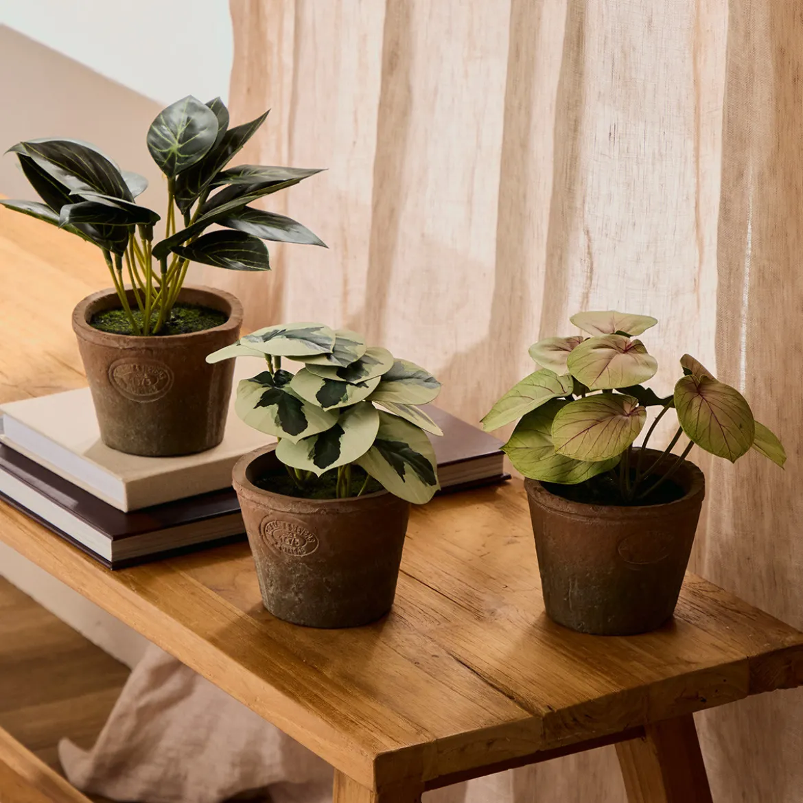 Botanic Artificial Caladium Potted Plant