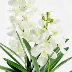 Carla Artificial Vanda Orchid in Vase