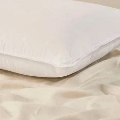 Classic Collection Standard Pillow