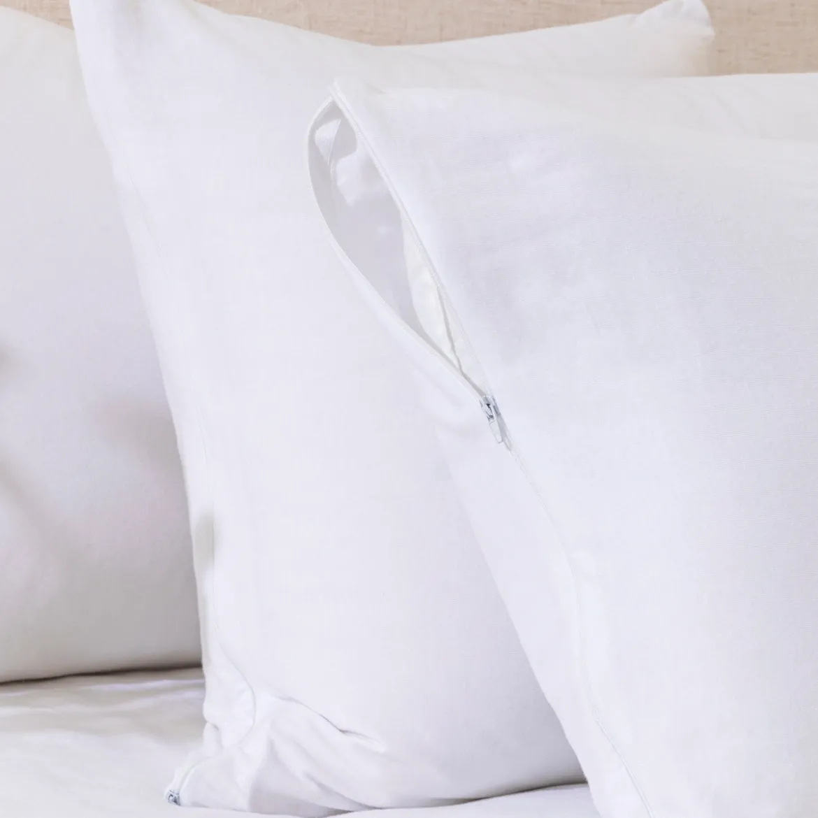 Cotton Jersey Queen Pillow Protector