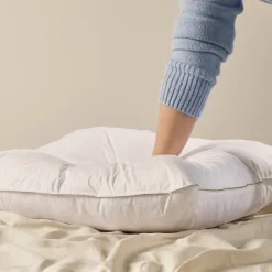 Duck Feather European Pillow