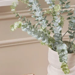 Dusty Eucalyptus Stem