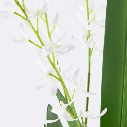 Freya Artificial Spider Orchid in Vase