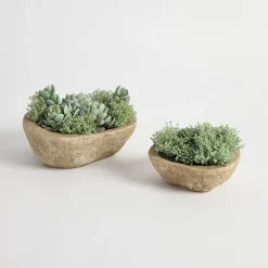 Greyson Potted Artificial Succulent