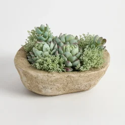 Greyson Potted Artificial Succulent
