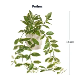 Hali Pothos Artificial Potted Plant