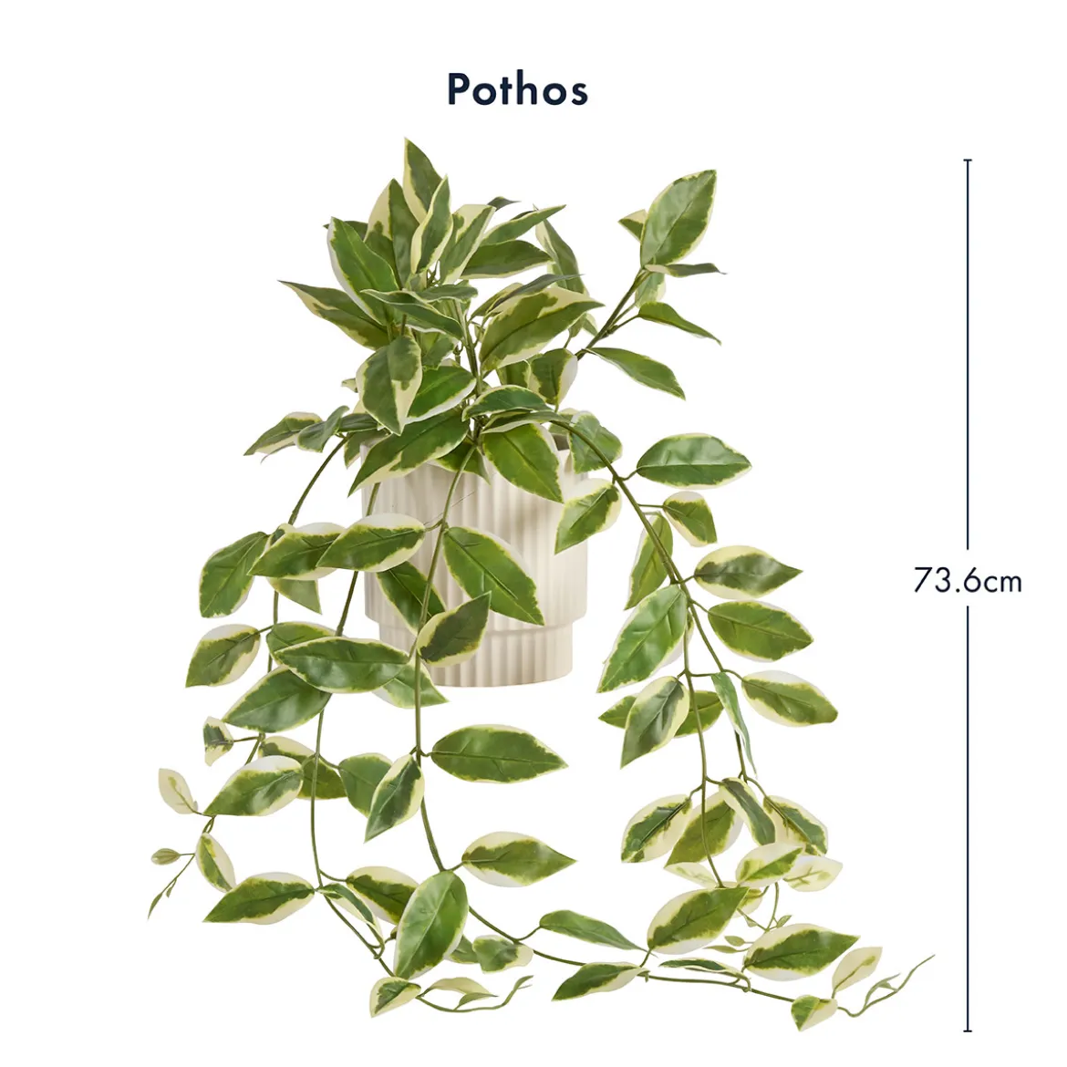 Hali Pothos Artificial Potted Plant