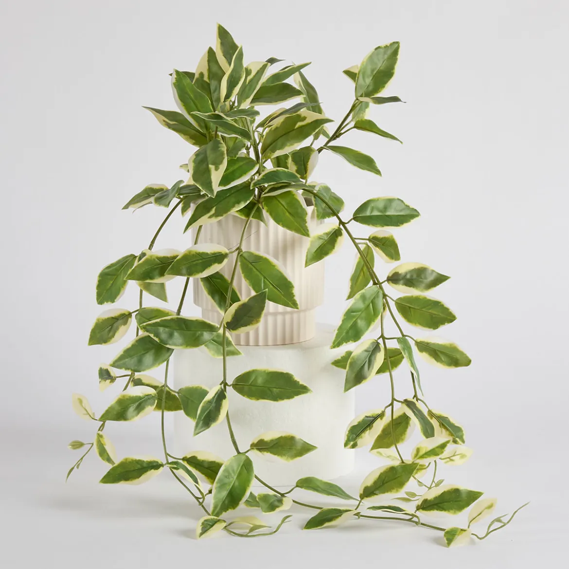 Hali Pothos Artificial Potted Plant