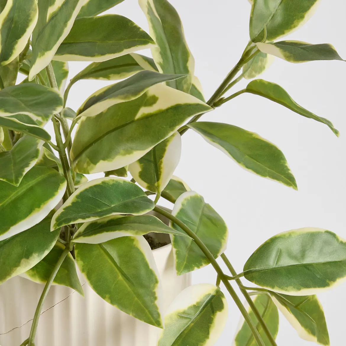 Hali Pothos Artificial Potted Plant