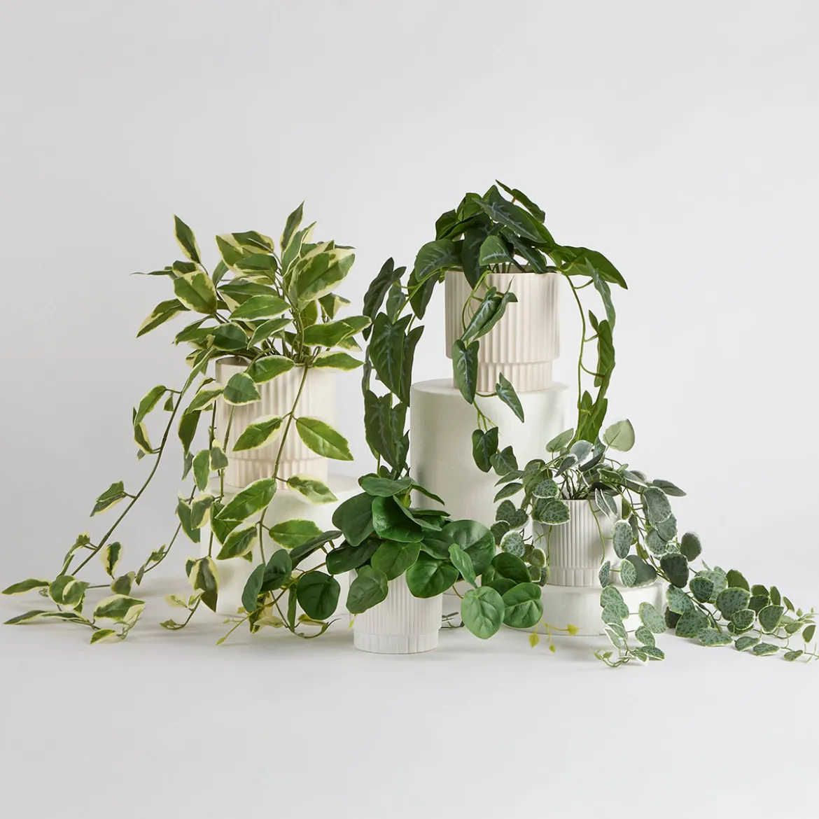 Hali Pothos Artificial Potted Plant