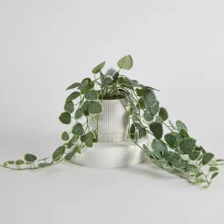 Hali String of Hearts Artificial Potted Plant