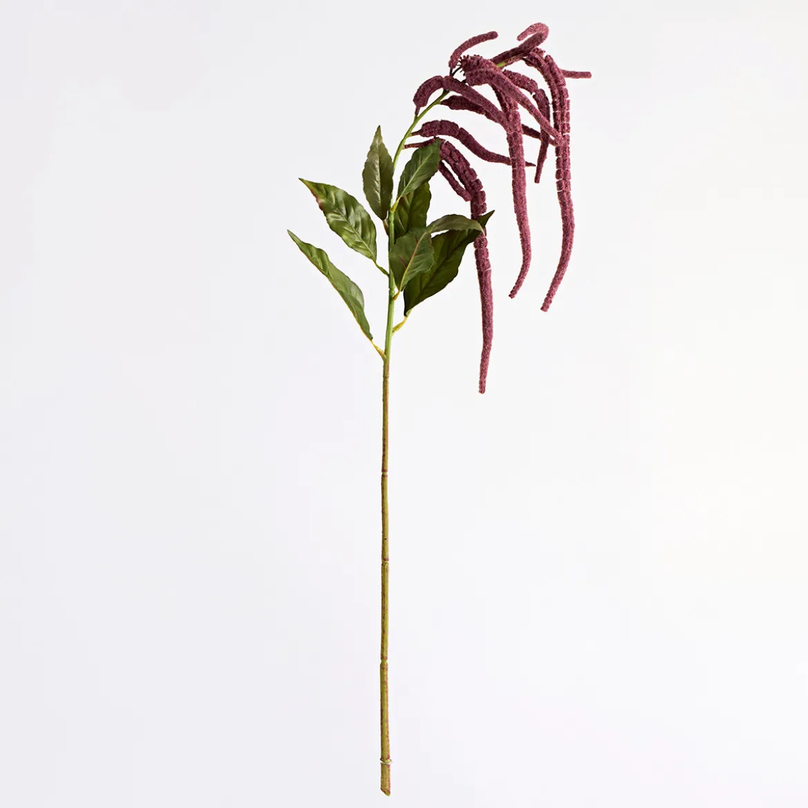 Hanging Millet Stem