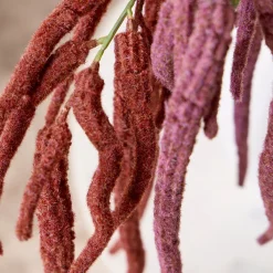 Hanging Millet Stem