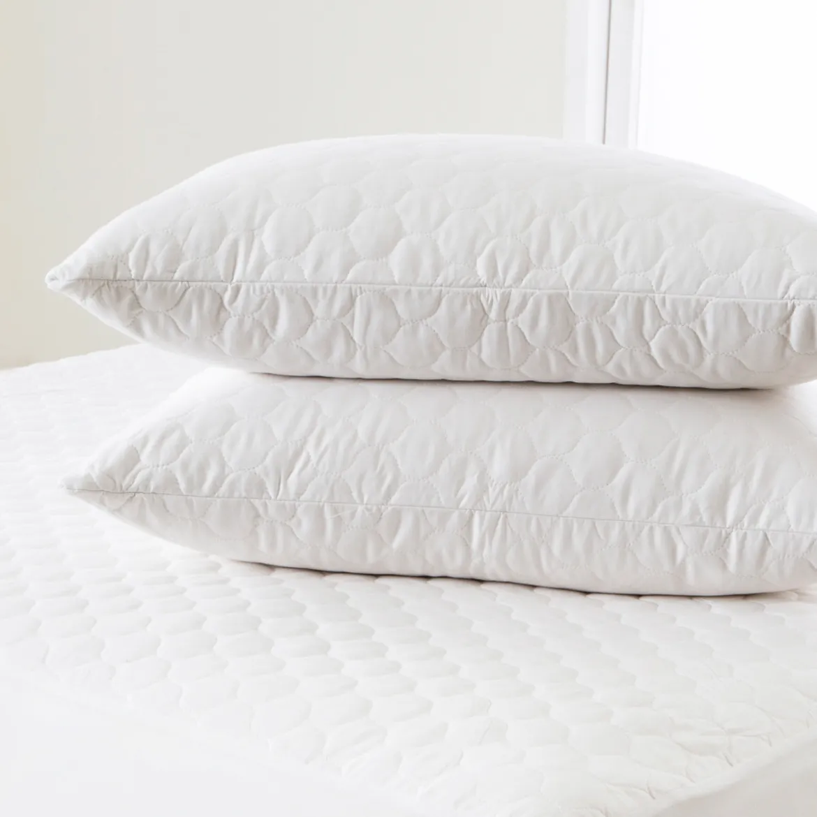 Natural Cotton Standard Pillow Protector