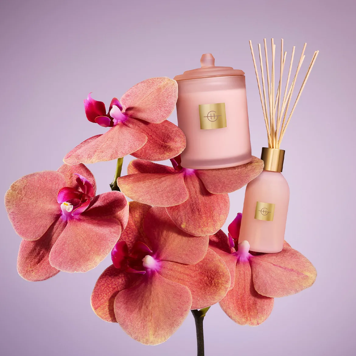 Radiance In Bloom 250ml Diffuser