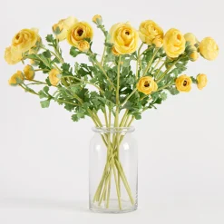 Wild Ranunculus Stem